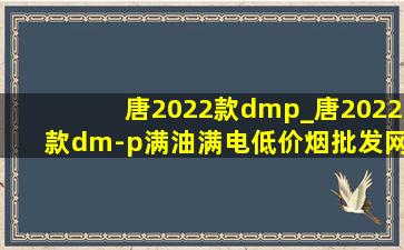 唐2022款dmp_唐2022款dm-p满油满电(低价烟批发网)续航