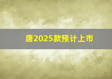 唐2025款预计上市