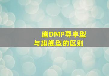 唐DMP尊享型与旗舰型的区别