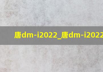 唐dm-i2022_唐dm-i2022价格