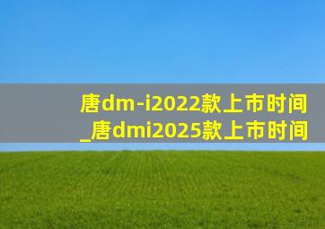 唐dm-i2022款上市时间_唐dmi2025款上市时间