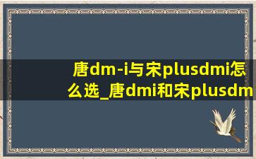 唐dm-i与宋plusdmi怎么选_唐dmi和宋plusdmi怎么选