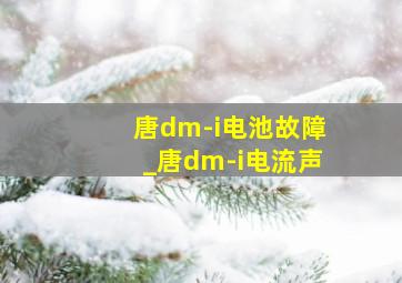 唐dm-i电池故障_唐dm-i电流声