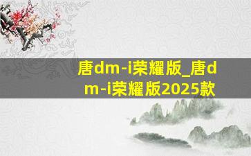 唐dm-i荣耀版_唐dm-i荣耀版2025款