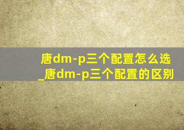 唐dm-p三个配置怎么选_唐dm-p三个配置的区别