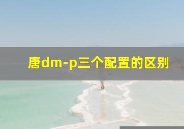 唐dm-p三个配置的区别