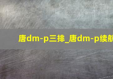 唐dm-p三排_唐dm-p续航