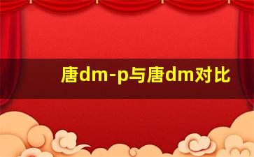 唐dm-p与唐dm对比