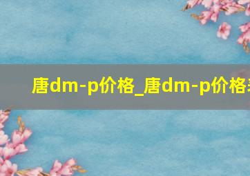 唐dm-p价格_唐dm-p价格表