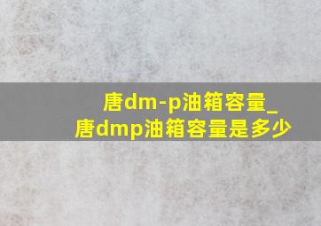 唐dm-p油箱容量_唐dmp油箱容量是多少