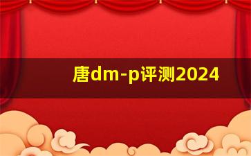 唐dm-p评测2024