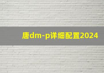 唐dm-p详细配置2024