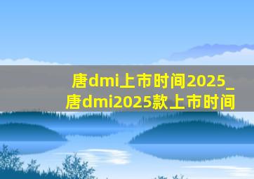 唐dmi上市时间2025_唐dmi2025款上市时间