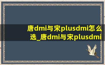 唐dmi与宋plusdmi怎么选_唐dmi与宋plusdmi顶配差别