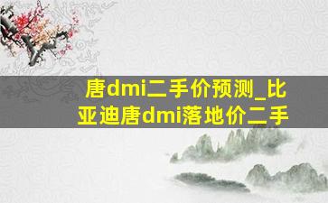 唐dmi二手价预测_比亚迪唐dmi落地价二手