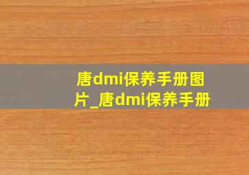 唐dmi保养手册图片_唐dmi保养手册