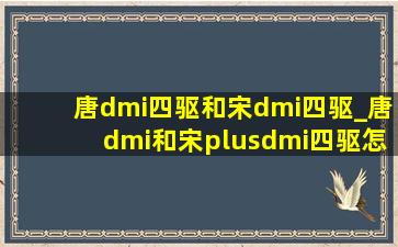 唐dmi四驱和宋dmi四驱_唐dmi和宋plusdmi四驱怎么选