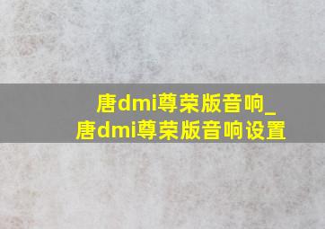 唐dmi尊荣版音响_唐dmi尊荣版音响设置