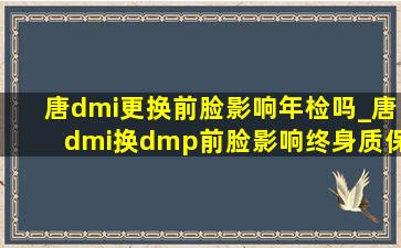 唐dmi更换前脸影响年检吗_唐dmi换dmp前脸影响终身质保吗