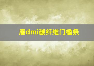 唐dmi碳纤维门槛条