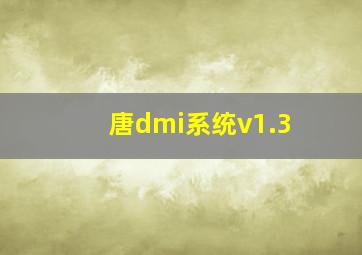 唐dmi系统v1.3