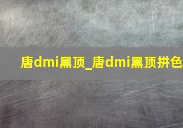 唐dmi黑顶_唐dmi黑顶拼色