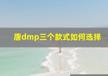 唐dmp三个款式如何选择