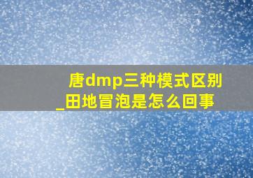 唐dmp三种模式区别_田地冒泡是怎么回事