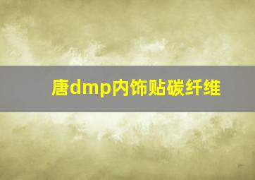 唐dmp内饰贴碳纤维