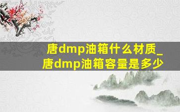 唐dmp油箱什么材质_唐dmp油箱容量是多少