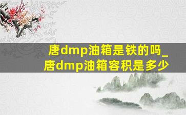 唐dmp油箱是铁的吗_唐dmp油箱容积是多少