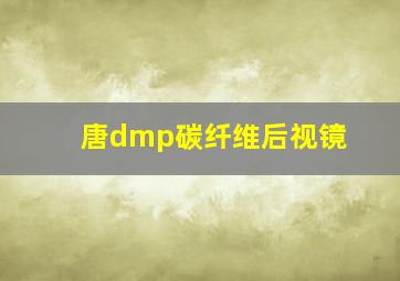 唐dmp碳纤维后视镜