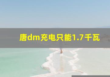 唐dm充电只能1.7千瓦