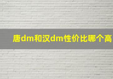 唐dm和汉dm性价比哪个高