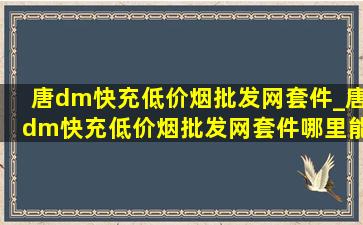 唐dm快充(低价烟批发网)套件_唐dm快充(低价烟批发网)套件哪里能买到