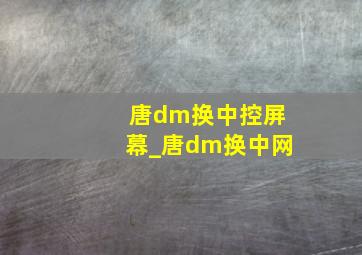 唐dm换中控屏幕_唐dm换中网