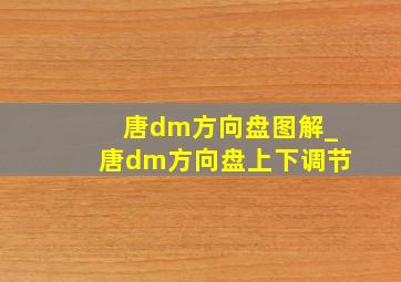 唐dm方向盘图解_唐dm方向盘上下调节