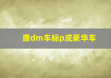 唐dm车标p成豪华车