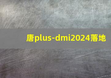 唐plus-dmi2024落地