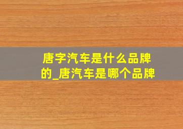 唐字汽车是什么品牌的_唐汽车是哪个品牌