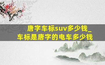 唐字车标suv多少钱_车标是唐字的电车多少钱