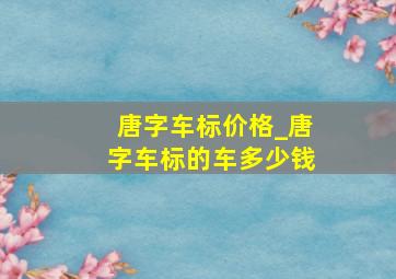 唐字车标价格_唐字车标的车多少钱