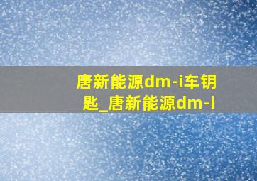 唐新能源dm-i车钥匙_唐新能源dm-i