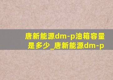 唐新能源dm-p油箱容量是多少_唐新能源dm-p