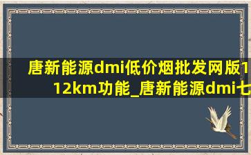 唐新能源dmi(低价烟批发网)版112km功能_唐新能源dmi七座