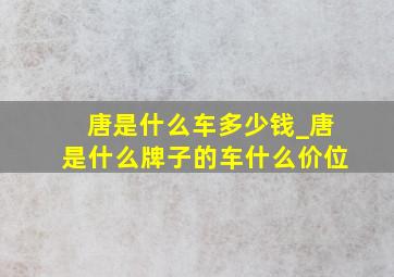 唐是什么车多少钱_唐是什么牌子的车什么价位