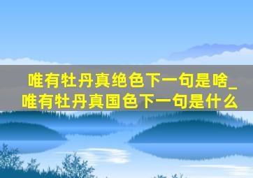 唯有牡丹真绝色下一句是啥_唯有牡丹真国色下一句是什么