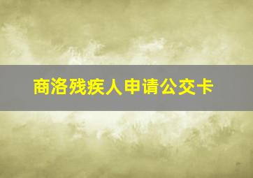 商洛残疾人申请公交卡