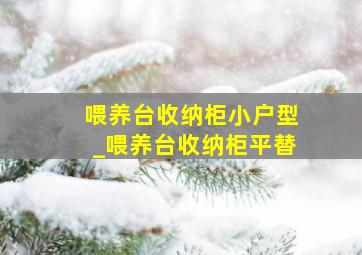 喂养台收纳柜小户型_喂养台收纳柜平替