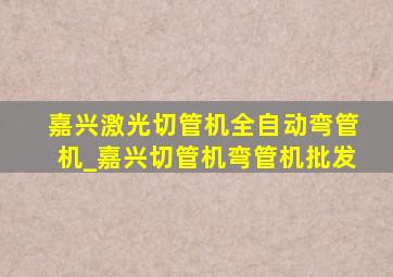 嘉兴激光切管机全自动弯管机_嘉兴切管机弯管机批发